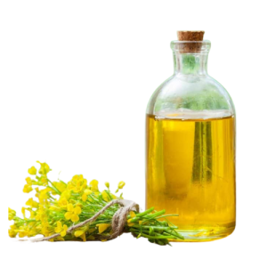 Rapeseed Canola Oil